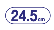 sanita แซนนิต้า sanitary pads ผ้าอนามัย ic slim pads 24.5cm